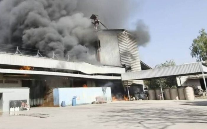 Nhà máy trứng gà bốc cháy dữ dội, hàng trăm nghìn quả trứng bị thiêu rụi