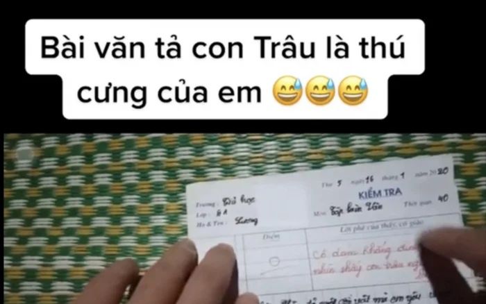 Học trò tiểu học viết bài văn tả con trâu 0 điểm, dân tình phản đối vì cô giáo chấm quá tay