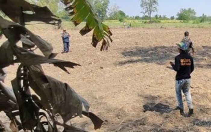 Sinh vật bí ẩn tàn phá hàng chục cây chuối, người dân lo lắng khi xem lại camera