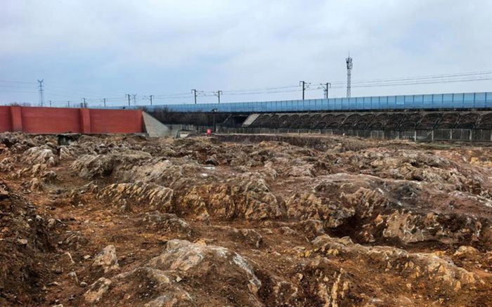 Đào móng xây ga cao tốc, công nhân bất ngờ phát hiện kỳ quan 500 triệu năm trước