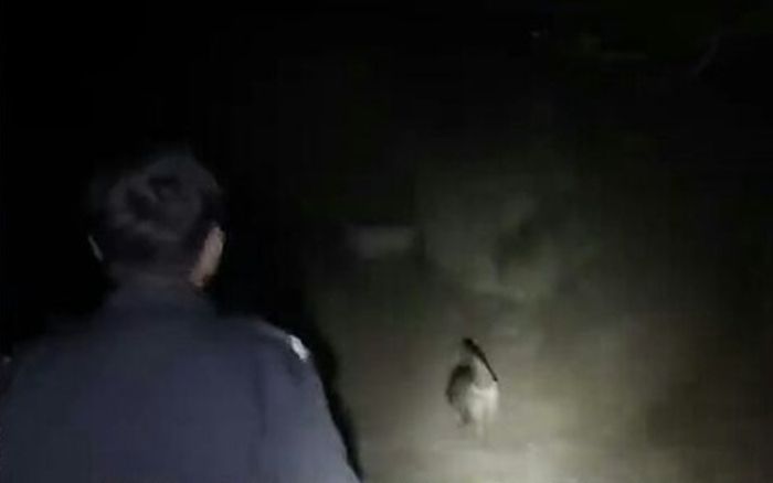 Hai anh em bỏ nhà đi vì sợ cha mắng do không làm bài tập, được tìm thấy đầy xót xa