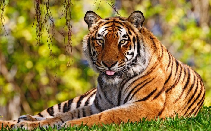 4 con giáp sắp đổi vận, dễ có lộc tiền bạc trong thời gian tới nhưng cần biết nắm bắt