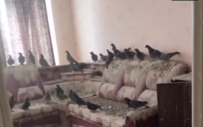 Đi làm xa quên đóng cửa sổ suốt 3 năm, người đàn ông bàng hoàng cảnh tượng khi trở về nhà