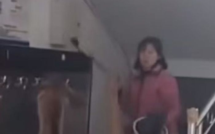 Vị khách không mời đột nhập ký túc xá nữ sinh, cảnh tượng gây hỗn loạn