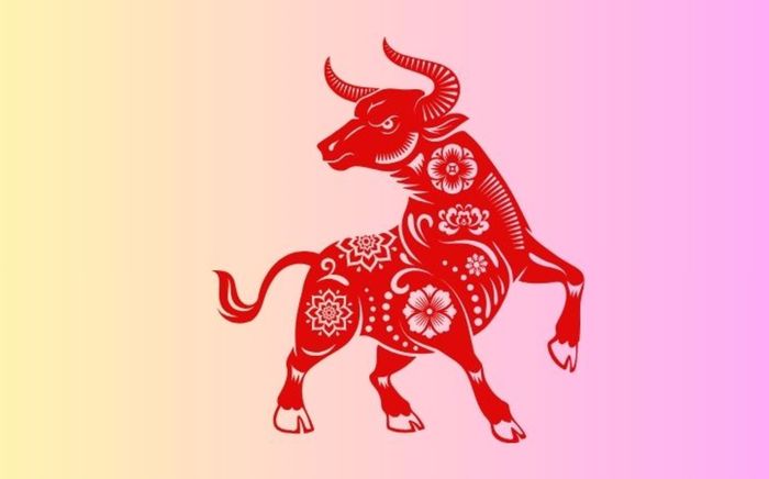 4 con giáp bị hiểu lầm nhiều nhất: Bề ngoài lạnh lùng nhưng bên trong lại sống rất tình cảm