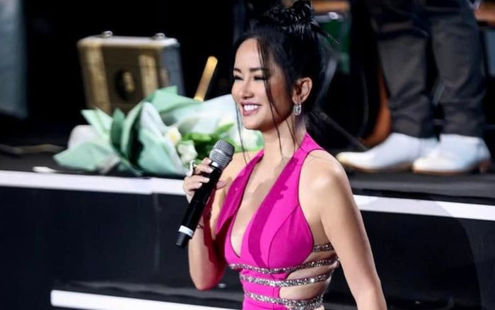 Diva Hồng Nhung khóc nấc trên sân khấu, nghẹn ngào không hát nên lời