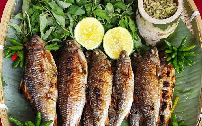 Loại cá được ví như 'lộc trời' ở Quảng Ngãi, thịt ngọt như mì chính tự nhiên nhưng ít người biết