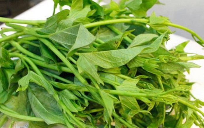 Loại rau tuổi thơ ai cũng từng ăn, giờ thành 'đặc sản ký ức' của một thời nghèo khó