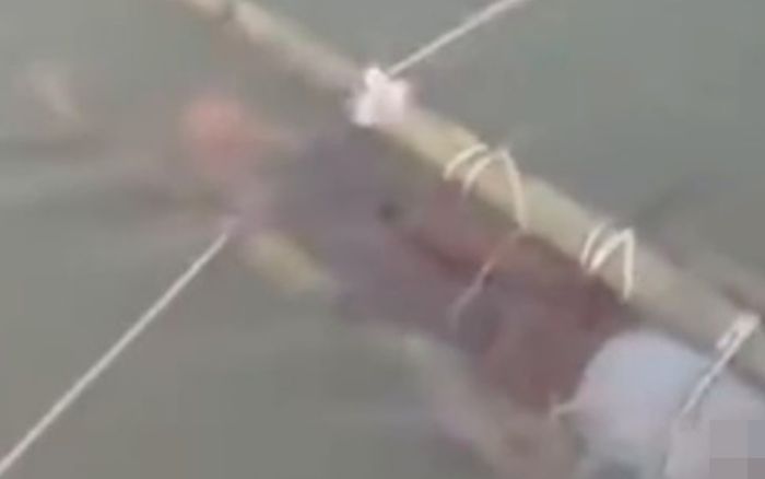 Cậu bé 13 tuổi bị rắn độc cắn, gia đình nghe lời 'thần y' chữa trị dẫn đến kết cục đau lòng