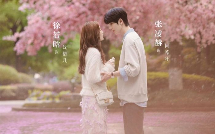 Top 10 phim Hoa ngữ thanh xuân có lượt xem cao nhất trên các nền tảng