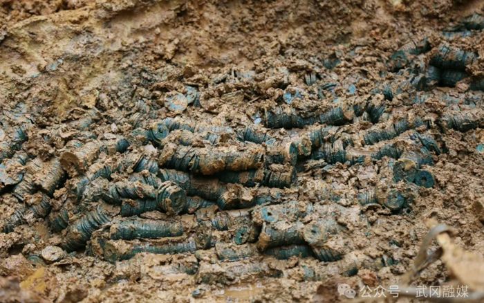 Đào đất làm cống, nam công nhân phát hiện 3 tấn tiền cổ