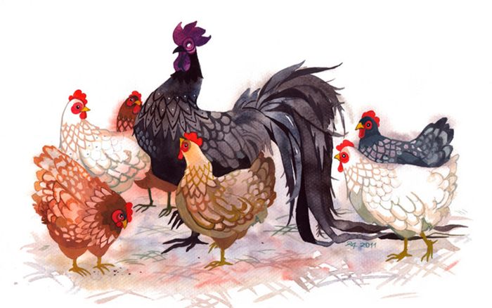 5 con giáp có cuộc đời hai nửa rõ rệt: Nửa đầu vất vả, nửa sau khiến ai cũng bất ngờ