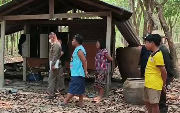 Đi cạo mủ cao su vào sáng sớm, nam công nhân phát hiện cảnh tượng kinh hoàng