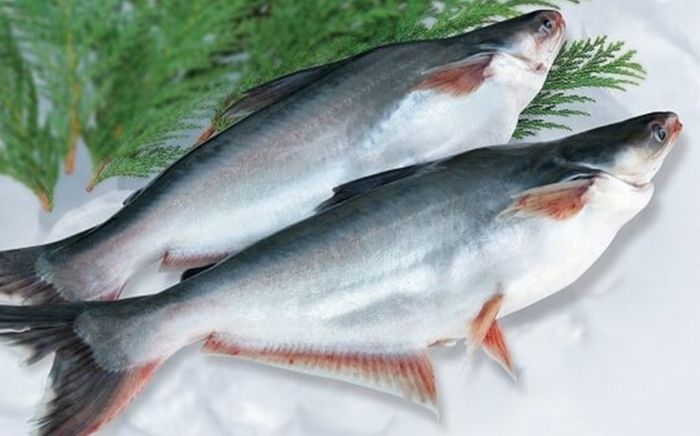 Loại cá thịt mềm và ít xương, đem kho với nước dừa thì hao cơm phải biết