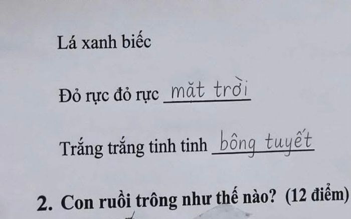 Làm bài tập tả con ruồi, học trò tiểu học đưa ra câu trả lời 'có một không hai'