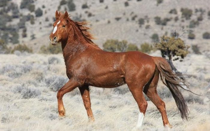 4 con giáp trưởng thành muộn về cảm xúc: Trước 30 dễ tổn thương, sau 30 lại sống cực kỳ tỉnh táo