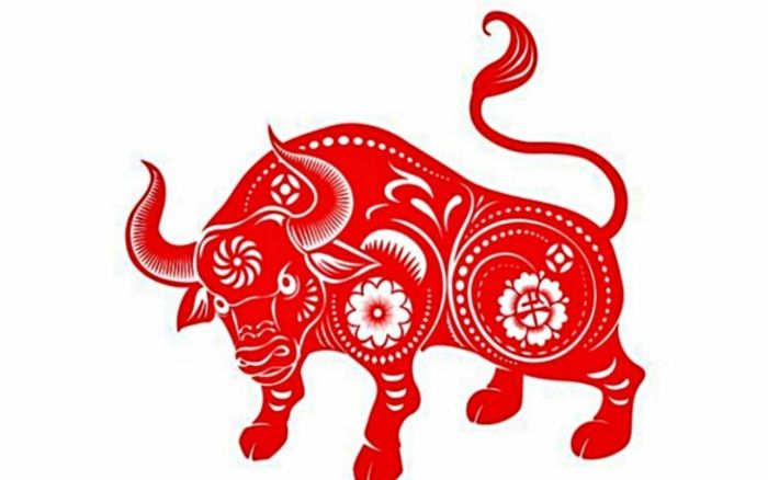 3 con giáp bề ngoài giản dị nhưng lại mang vận số không tầm thường, dễ làm nên chuyện lớn