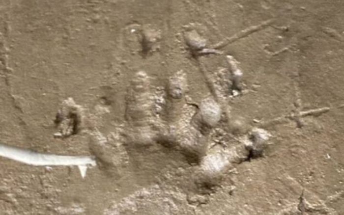 Phát hiện nhiều dấu chân bí ẩn trên bờ sông, người dân lo lắng