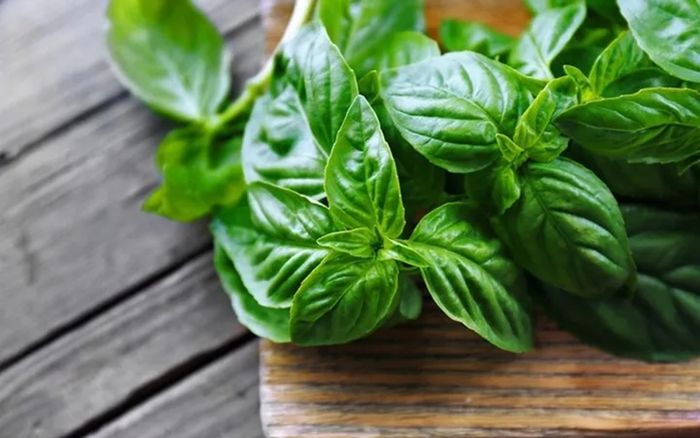3 loại rau tưởng chỉ để ăn kèm nhưng lại có giá trị dinh dưỡng cao, nhiều người đang bỏ phí