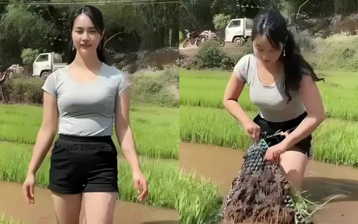 Đi xem mắt tại ruộng lúa, cô gái xinh đẹp nói một câu khiến chàng trai 'đứng hình'