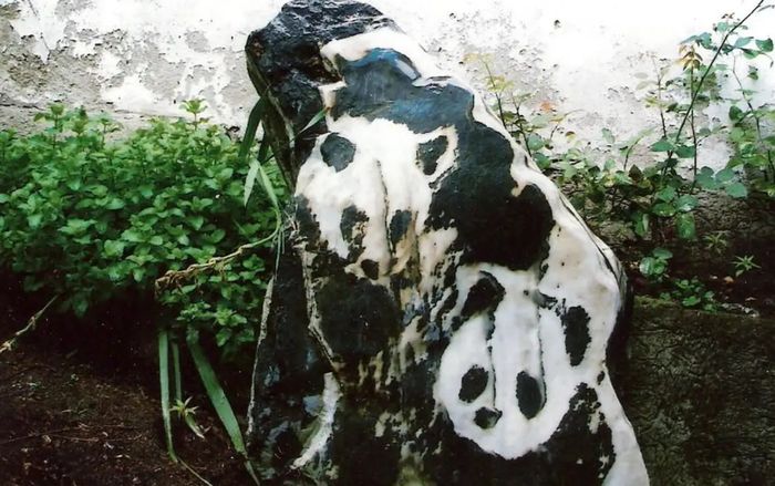 Đi biển cùng gia đình, người đàn ông nhặt được viên đá cực quý giá hơn 500 tỷ đồng