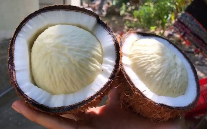 3 bộ phận của quả dừa thường bị bỏ phí, hóa ra dùng được đủ cách