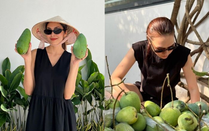 Loại quả được trồng nhiều trong vườn nhà Tăng Thanh Hà, Mỹ Tâm: Cứ hè đến là thơm cả góc vườn