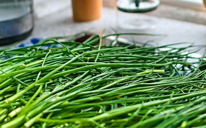 Nhầm lẫn một loại cây là rau hẹ khi nấu năn, gia đình 3 người ngộ độc