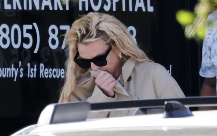 Britney Spears xuất hiện tại cửa hàng thú cưng giữa lúc vướng tin đồn mất kiểm soát