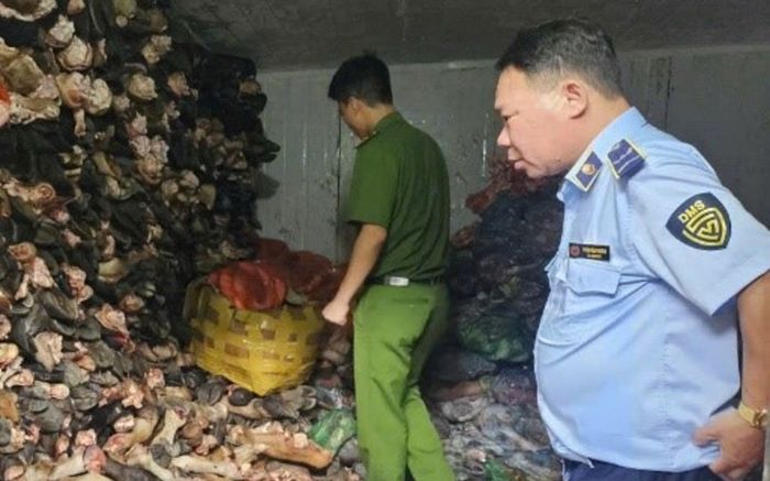 Hà Nội: Phát hiện khoảng 1.200 kg nội tạng, xương bò... không rõ nguồn gốc