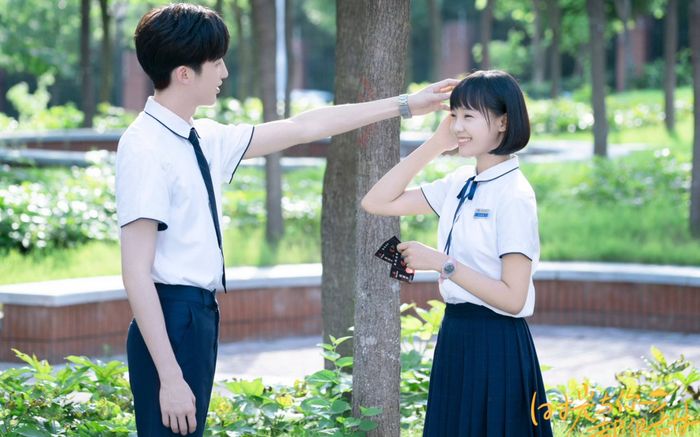 Top 9 phim thanh xuân Hoa ngữ được xem lại nhiều nhất mùa hè này