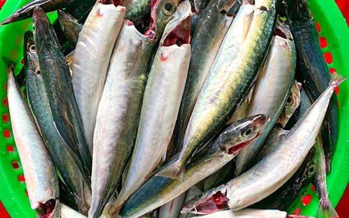 Loại cá được ví là 'kho bá cháy': Càng ăn càng cuốn, nhiều người mua vài ký mỗi lần