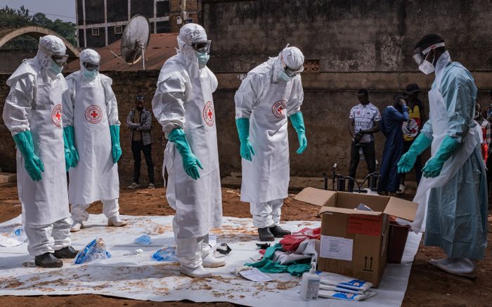 WHO thúc đẩy thử nghiệm vaccine và thuốc điều trị Ebola giữa lúc dịch bùng phát tại châu Phi