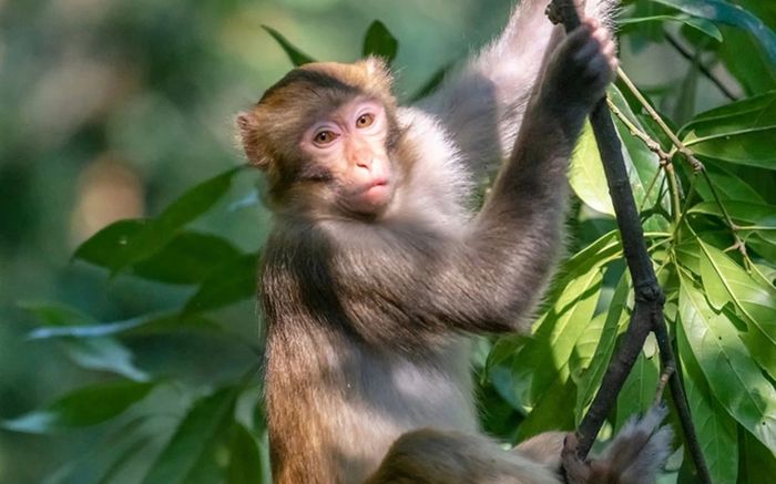 4 con giáp ít khi kể khổ với người khác: Càng khó khăn càng âm thầm cố gắng vươn lên