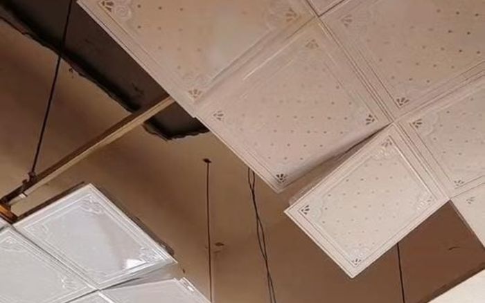 Đang ngủ giữa đêm, người phụ nữ sốc nặng vì thứ rơi xuống từ trần nhà