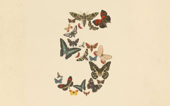 Anthropic ra mắt Claude Fable 5