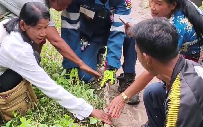 Phát hiện trăn khổng lồ sinh gần chục đứa con, người dân kéo nhau đến xem