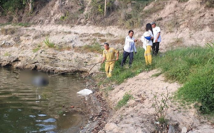 Dẫn trâu đi ăn cỏ, người đàn ông 'tái mặt' khi thấy người quen nằm dưới sông