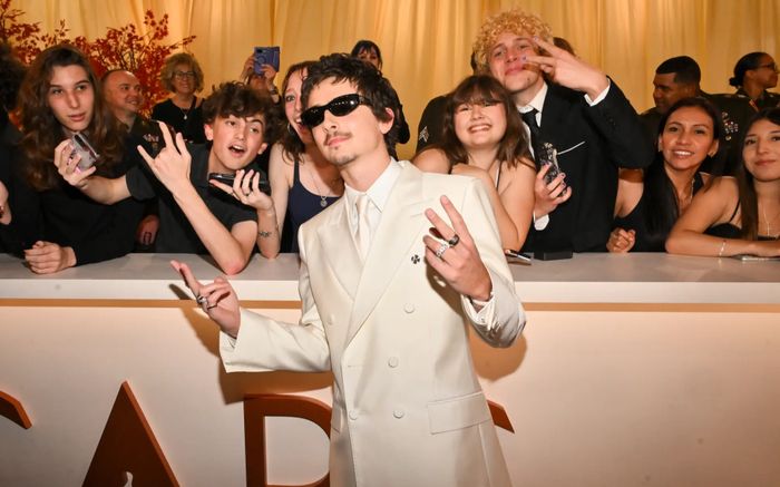 Timothée Chalamet gây chú ý với phát ngôn về Oscar