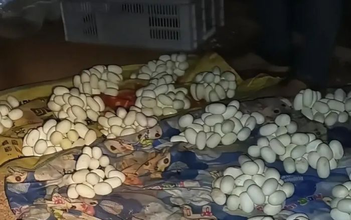 Về nhà sau nửa năm đi xa, chàng trai bàng hoàng cảnh tượng sau khi mở cửa