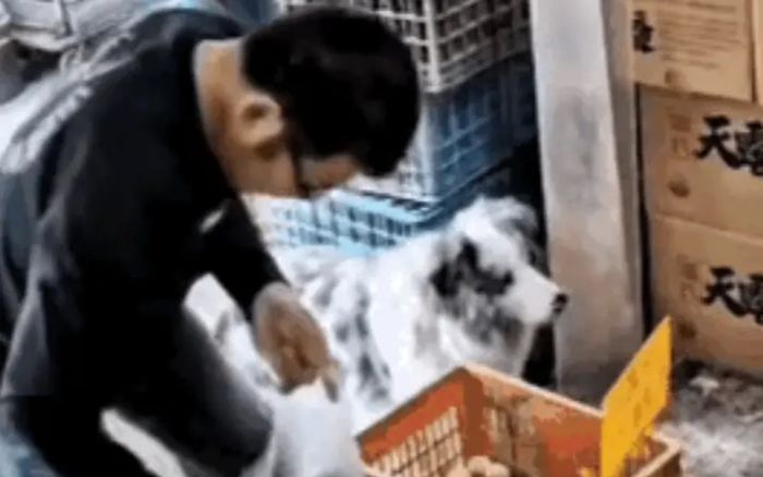 Đi mua trứng, người đàn ông có hành động khiến chủ tiệm tạp hóa bức xúc sau khi xem lại camera