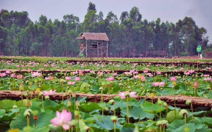 Quê hương Á khôi 1 Miss Cosmo TP.HCM có những điểm đến nổi tiếng nào?