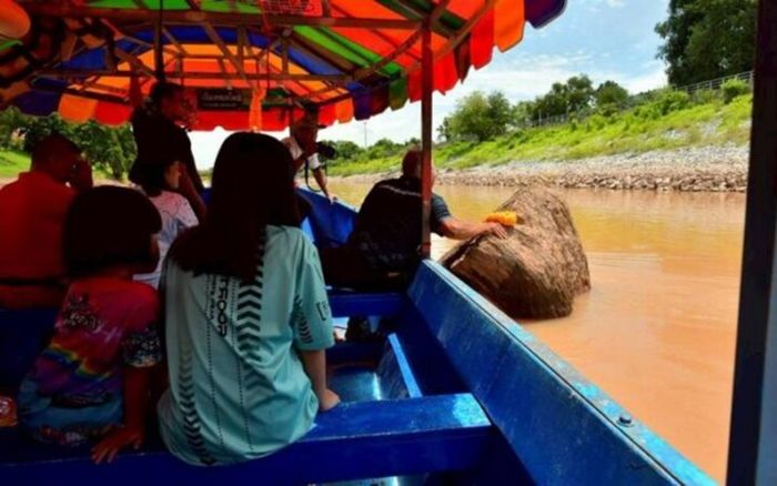 Gốc cây quý hiếm nổi lên giữa dòng sông, người dân kéo đến cầu may mắn