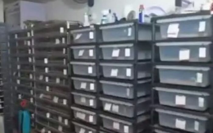 Hóa đơn tiền điện tăng bất thường, người đàn ông bị bắt sau khi cảnh sát kiểm tra nhà