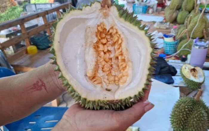 Bổ quả sầu riêng, người nông dân 'đứng hình' vì cảnh tượng kỳ dị bên trong