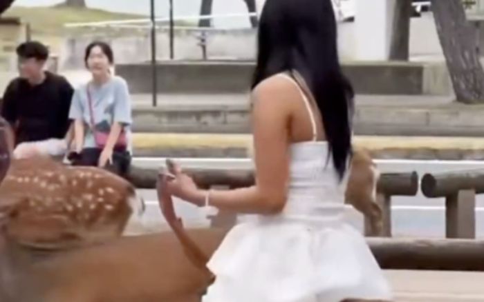 Người phụ nữ gây phẫn nộ khi có hành động khó coi với con nai tại công viên