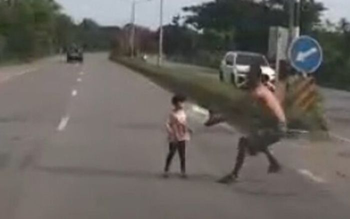 Đang lái xe, tài xế kinh hoàng phanh gấp khi thấy cảnh tượng giữa đường