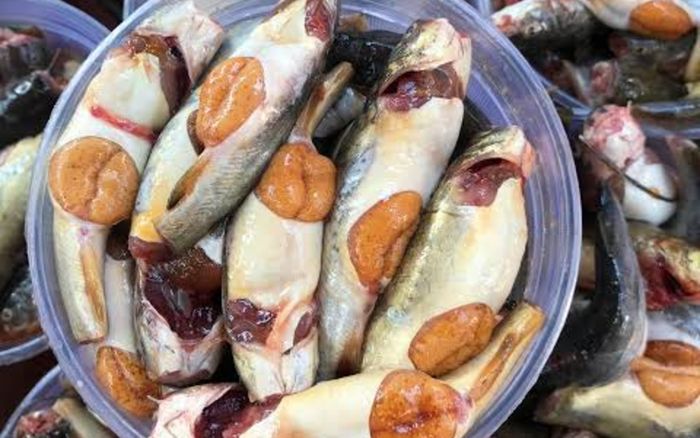 Những loại cá chỉ mùa lũ miền Tây mới có, dân sành ăn không bao giờ bỏ lỡ