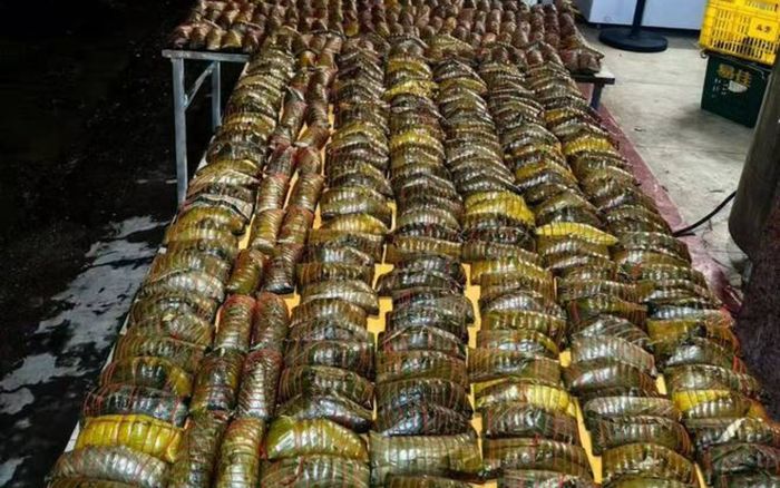 Người phụ nữ thức xuyên đêm nấu hơn 2000 chiếc bánh ú gửi vùng lũ, nói một câu gây xúc động
