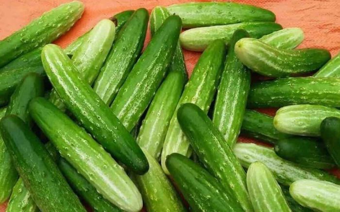 Chuyên gia chỉ ra cách ăn dưa chuột tốt cho sức khỏe
